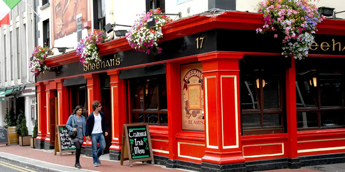 Dublin Delights: City Vacation W/Tours
